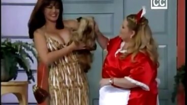 По дяволите, sex stari babi това са едни МАСИВНИ ЦИЦИ!!444!!!